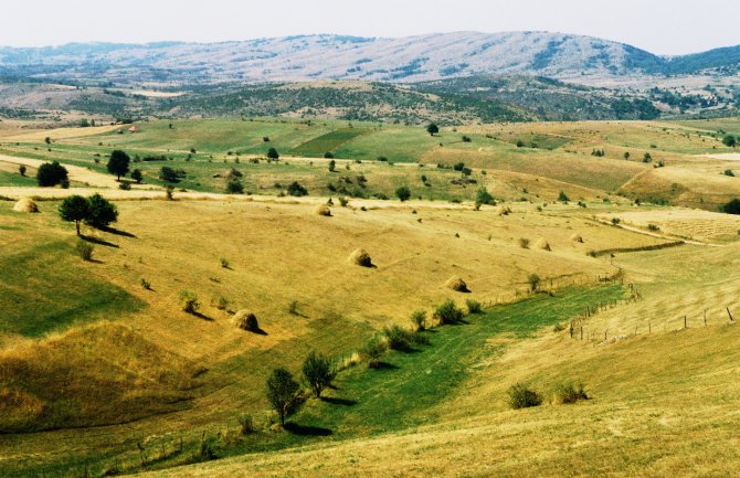 77-godišnja starica ubijena zbog 400 eura, ubica došao s teritorije Crne Gore?