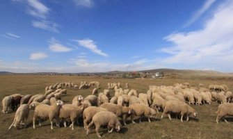 Mještani u strahu: Taj koji je imao duše da već ranjenoj starici puca u glavu spreman je na sve