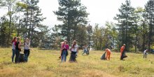 Akcija čišćenja u Beranama uspješno sprovedena (FOTO)