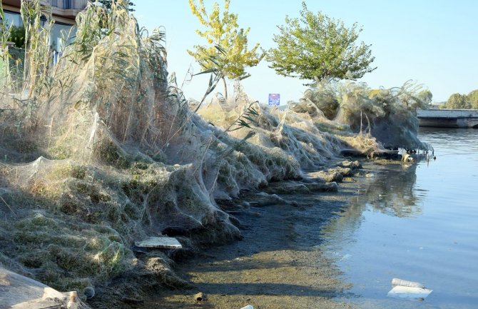 Paukova mreža preko plaže u Grčkoj duga 300 metara (FOTO/VIDEO)