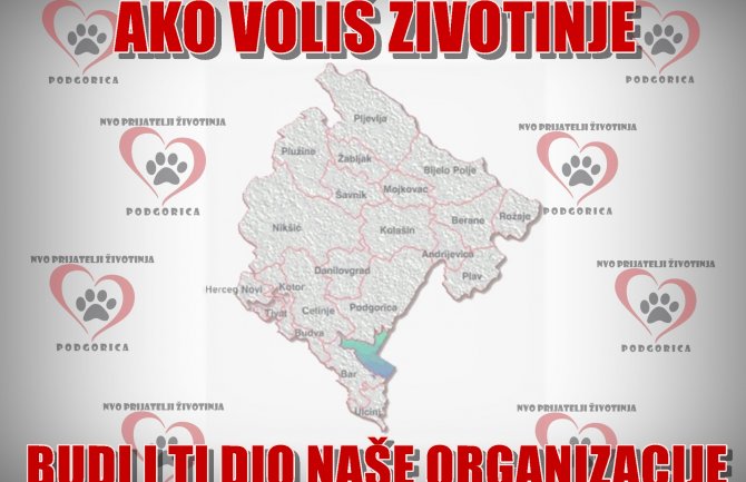 NVO Prijatelji životinja spremni da podignu infrastrukturu par stepenika više