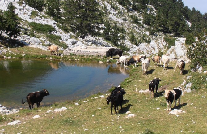 Agencija za zaštitu Orijena sada i formalno i suštinski preuzima upravljanje Parkom prirode (FOTO)