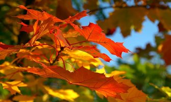 Danas pretežno sunčano i toplo vrijeme za ovo doba godine