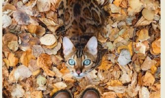 Sunčano, do 22 stepena