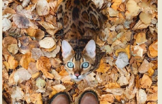 Sunčano, do 22 stepena