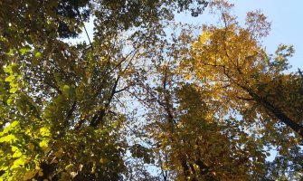 Evo kakvo nas vrijeme očekuje naredna dva dana