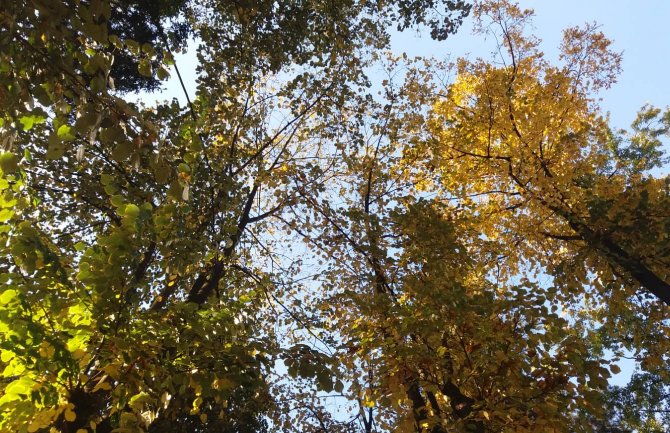 Evo kakvo nas vrijeme očekuje naredna dva dana