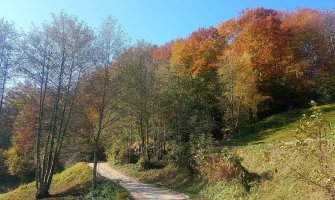 Krajem dana ponegdje moguća kiša