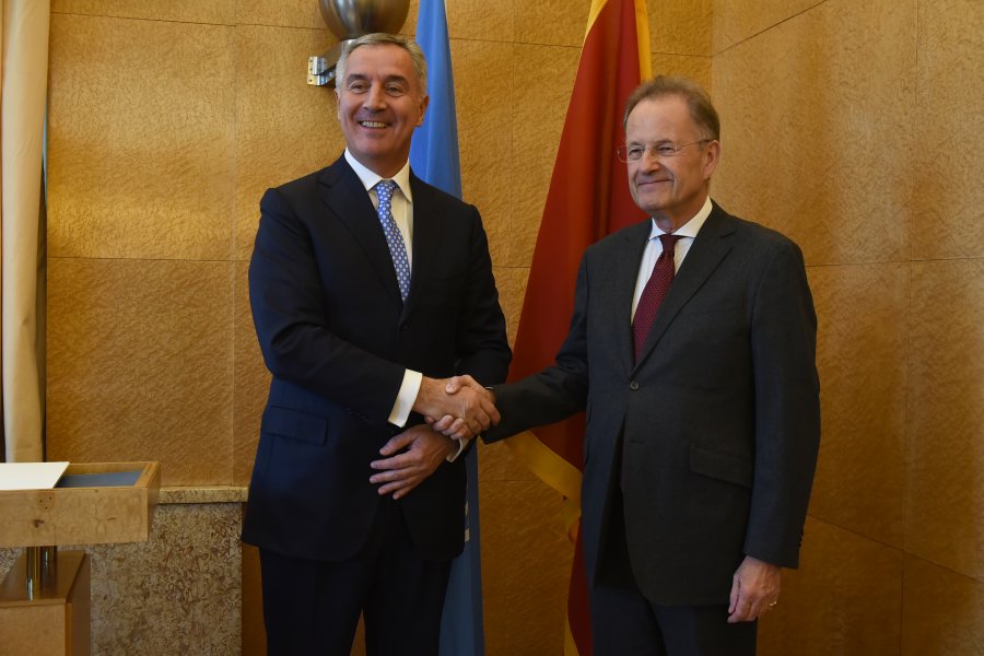 bilateralasaMolerom004