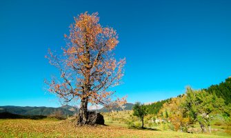 Pretežno sunčano, do 23 stepena