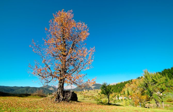Pretežno sunčano, do 23 stepena
