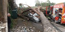 Veliko nevrijeme u Italiji: Stradalo najmanje 10 osoba, vjetar obara stabla, nivo vode raste(VIDEO)