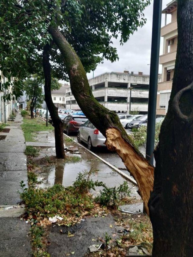 4523592011734978127982242975053623223910400n