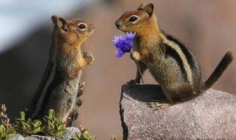 Za vikend neuobičajeno toplo za ovo doba godine