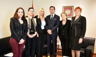 Žaštita žena od nasilja od odsudne važnosti u izgradnji pravednog i bezbjednog društva