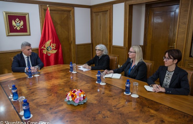 Ponuđena ekspertska pomoć OEBS-a u dijelu zakonodavstva kojim će se baviti Odbor