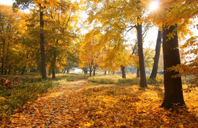 Za vikend lijepo vrijeme, do 21 stepen