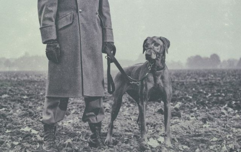 9039280495be7e5b479284591148487v4big