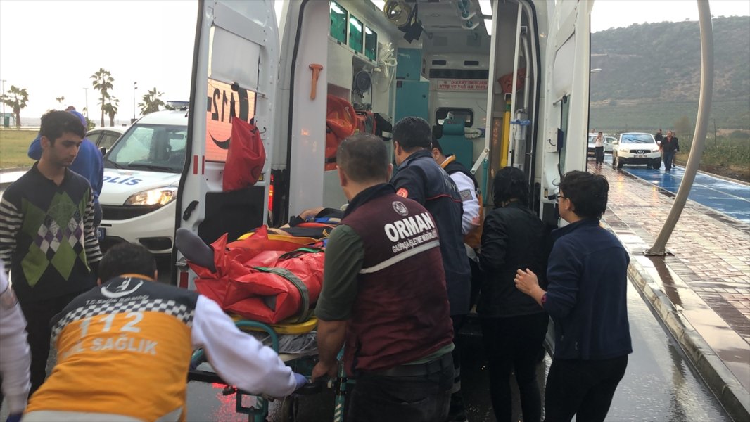 2018111123337033038938636Web