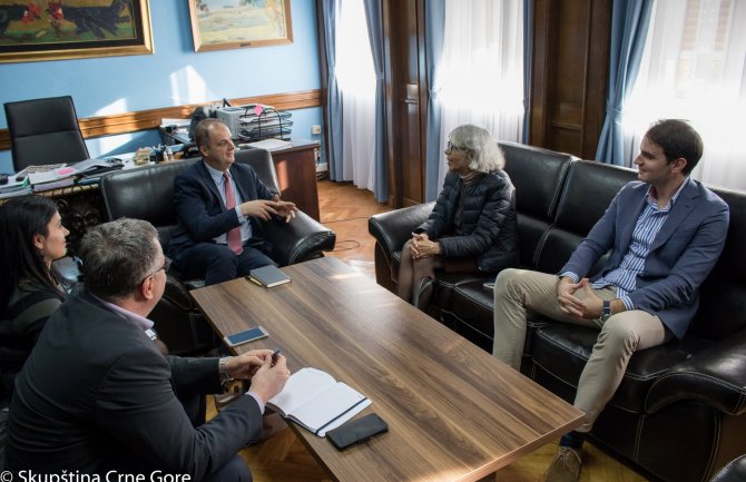 OEBS-a spreman da pomogne Crnoj Gori u reformi izbornog zakonodavstva