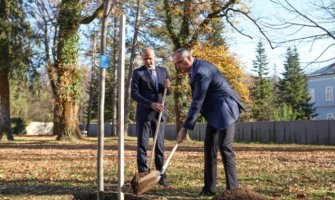 Univerzitet Crne Gore poklonio Cetinjanima sadnice lipe