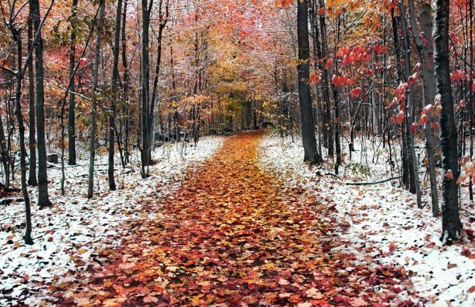 Slijedi pad temperature, zahlađenje i padavine