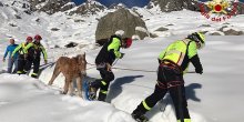 Pogledajte spašavanje konja sa zavijanih pašnjaka (VIDEO)