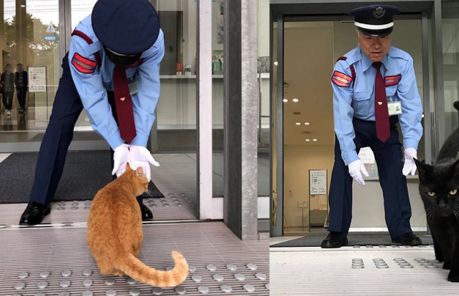 Dvije najpoznatije mačke u Japanu: Godinama pokušavaju da uđu u muzej(VIDEO)