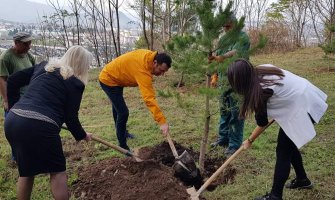 Ljubović bogatiji za 100 sadnica