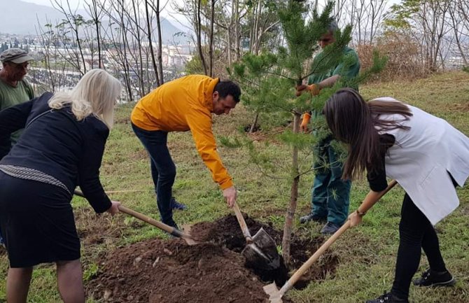 Ljubović bogatiji za 100 sadnica