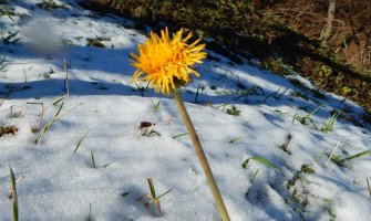 Danas bez padavina, do 14 stepeni