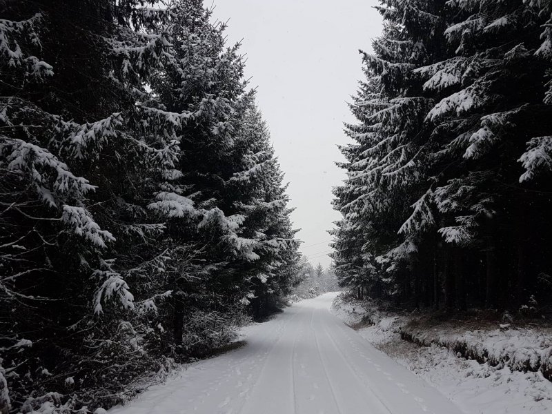 481979415864077618057387179257802014064640n