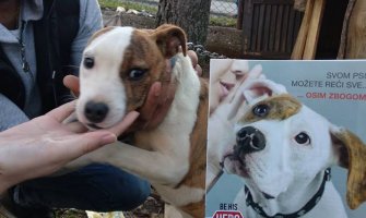 Potrebna veća edukacija o držanju životinja