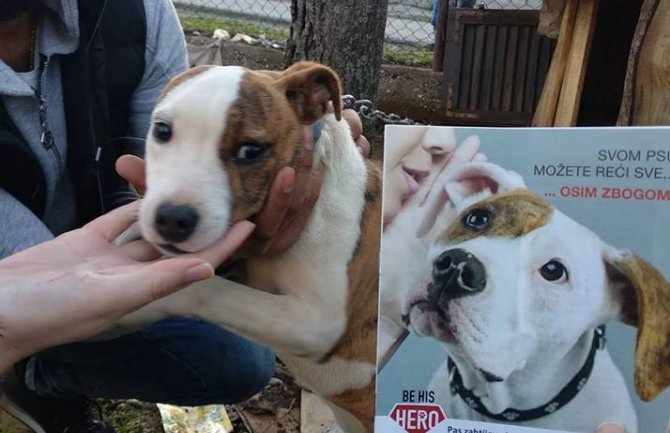 Potrebna veća edukacija o držanju životinja