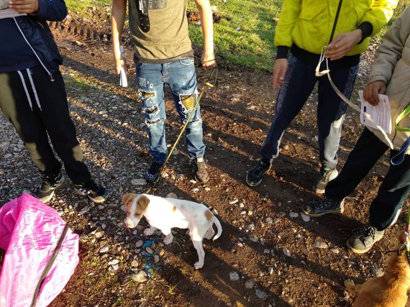 4839611322505478452183756348355739622309888n