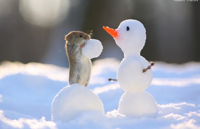 Danas bez padavina, sunčano, vjetar pojačan