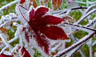 Danas bez padavina, do 14 stepeni