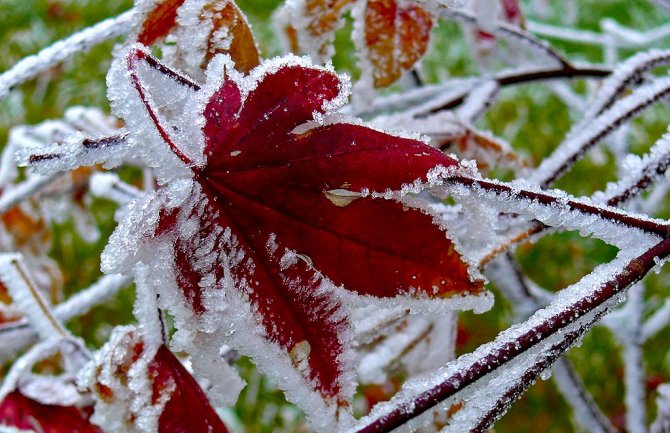 Danas bez padavina, do 14 stepeni