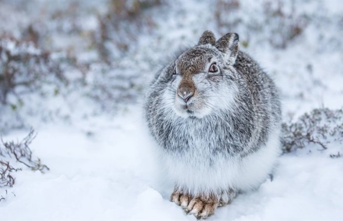 Danas bez padavina, temperatura od -2 do 15 stepeni