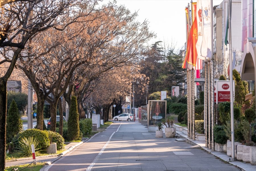 2019010123420982240362083Web