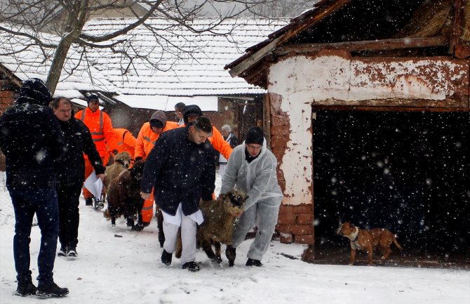 Zbog uklanjanja cistijerni s amonijakom, evakuisani mještani, kućni ljubimci i domaće životinje