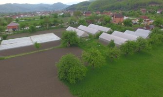 Bjelopoljac odustao od Njemačke i okrenuo se poljoprivredi: Ko hoće da radi, može ovdje dobro da živi