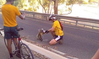 Australija: Svakodnevno preko 40 stepeni, brojni požari, stradale životinje