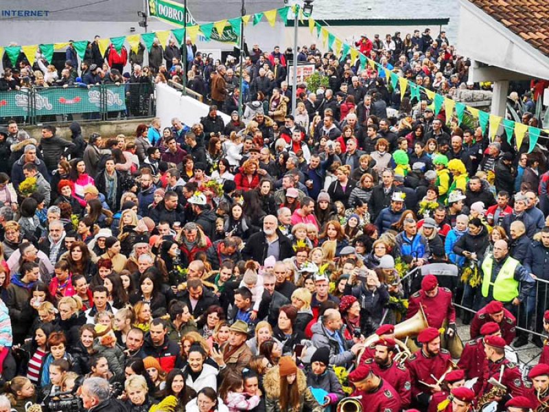 Festaodmimozeribeivina20198