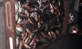 Virpazar: Od Albanca oduzeto više od 300 kg ribe