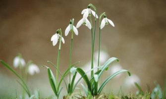 Evo kakvo nas vrijeme očekuje za dane vikenda