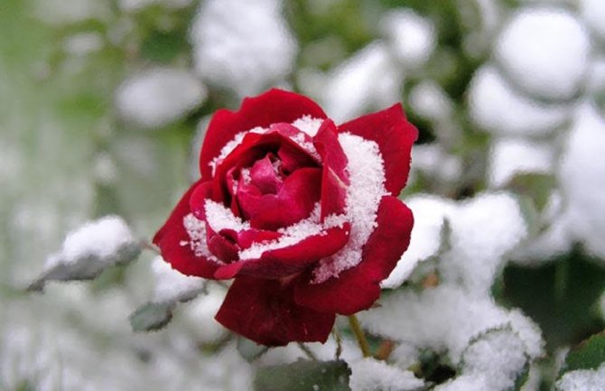 Narednih dana nestabilno, u nedelju na sjeveru moguć snijeg