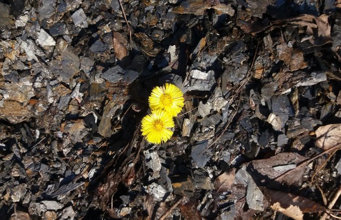 Sunčano, do 18 stepeni 