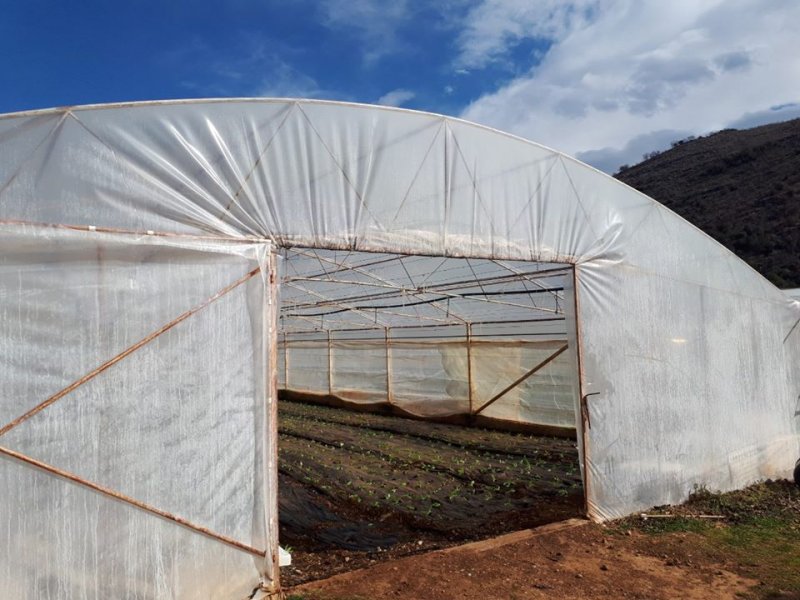 5268446920306535469888193548674581805924352n