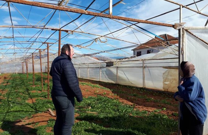 Orkanski vjetar oštetio plastenike i objekte za držanje stoke